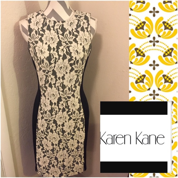 Karen Kane Dresses & Skirts - Season-less stunner!