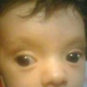 Meet your Posher, Henry