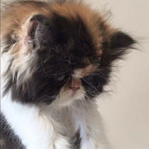 Meet your Posher, Martin