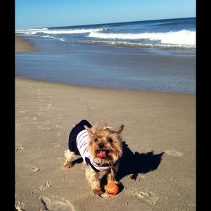 Meet your Posher, Julie