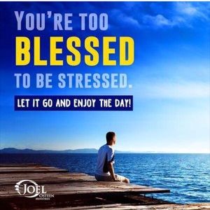 Meet your Posher, Maddy