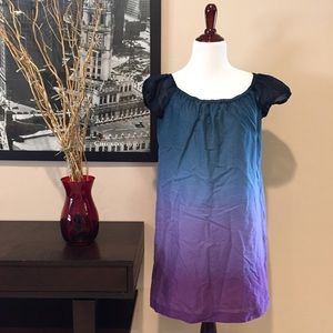Anthropologie Theory Ombré Dress