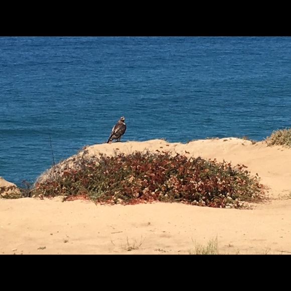 Meet your Posher, Katica - Picture 1 of 1