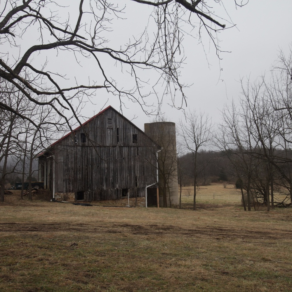Meet your Posher, Jill
