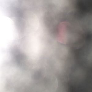 Meet your Posher, Tevin