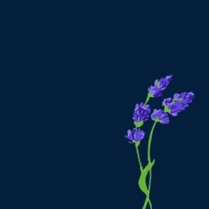 Meet your Posher, Iris