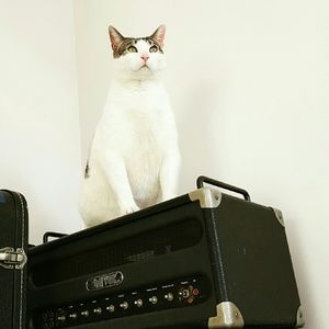 Meet your Posher, Alex