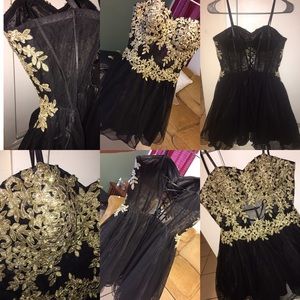 Emboidered Appliqué Corset Skater Homecoming Dress