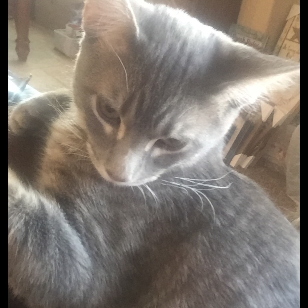 Meet your Posher, Stacey