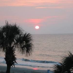 Meet your Posher, Loretta