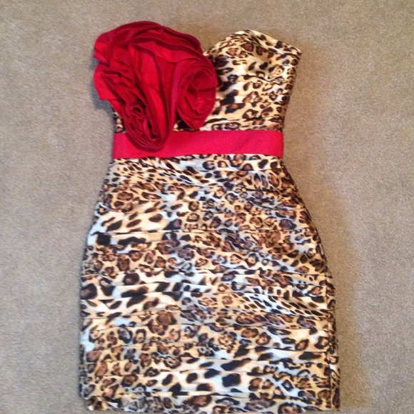 Homecoming/Prom Dress with shoes