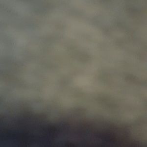 Need help thank you so much in advance help us!