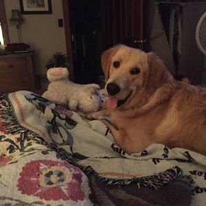 Meet your Posher, Irene