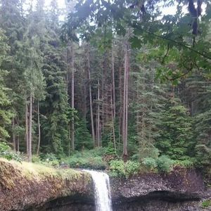 Meet your Posher, Jesseca