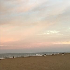 Meet your Posher, Hanah