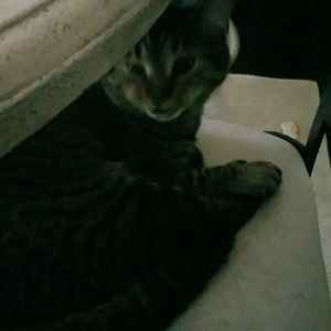 Meet your Posher, Debra