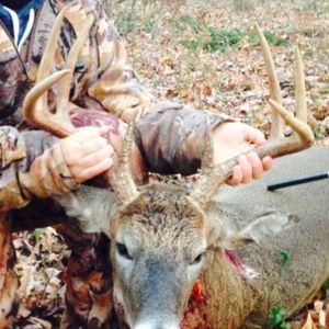 Meet your Posher, Elliott