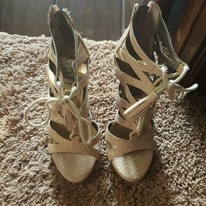 Sam and Libby caged pumpa