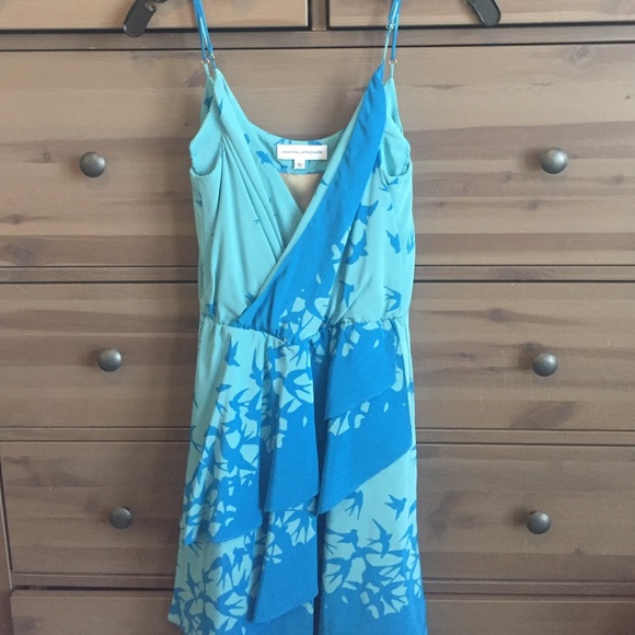 Amanda Uprichard Dresses & Skirts - NWOT blue bird print silk dress