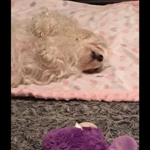 Meet your Posher, Peggy