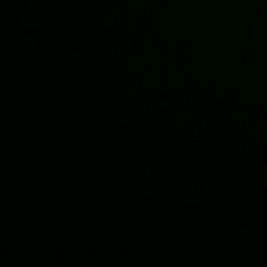 Meet your Posher, Tatiana