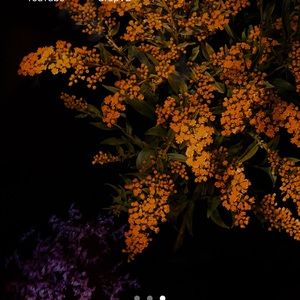 Meet your Posher, Britt