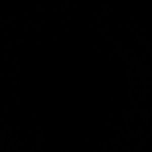 Meet your Posher, Frances