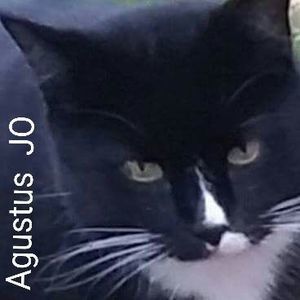 Meet your Posher, Teresa