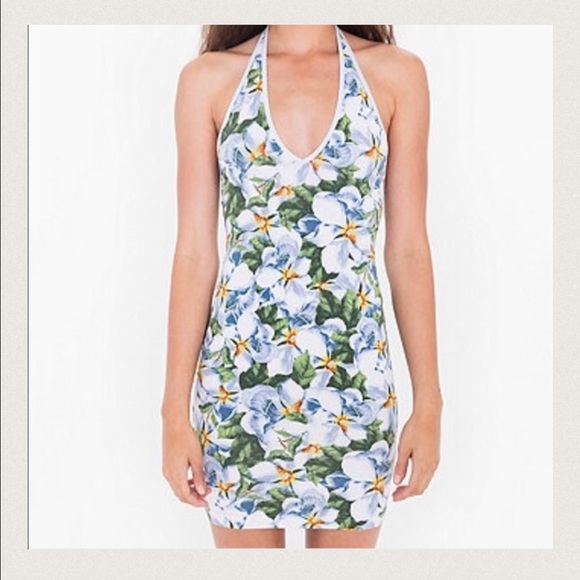 american apparel dress