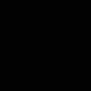 Meet your Posher, Kelsie