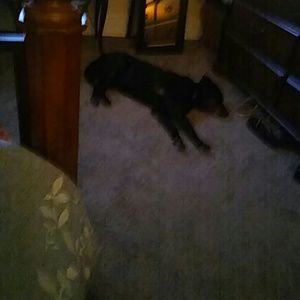 Meet your Posher, Barbara