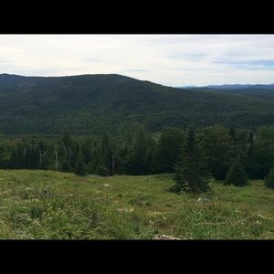 Meet your Posher, Faith