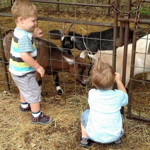 Meet your Posher, Elizabeth