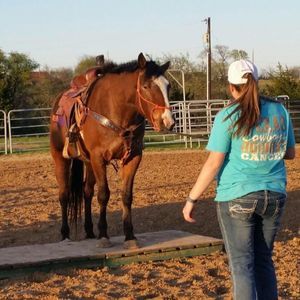 Meet your Posher, Shayla