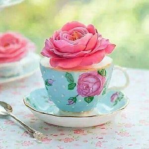 Meet your Posher, Sonia