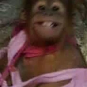 Meet your Posher, Shawn