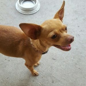 Meet your Posher, Brittany