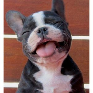 Meet your Posher, Jenea