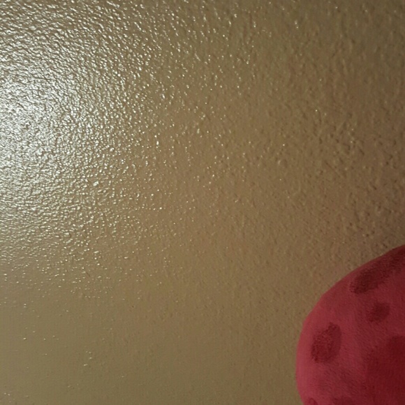 Meet your Posher, Lupe - Picture 1 of 1