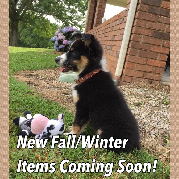 🎀HEY PFF's💜💚 NEW Items Coming Soon! ☺️