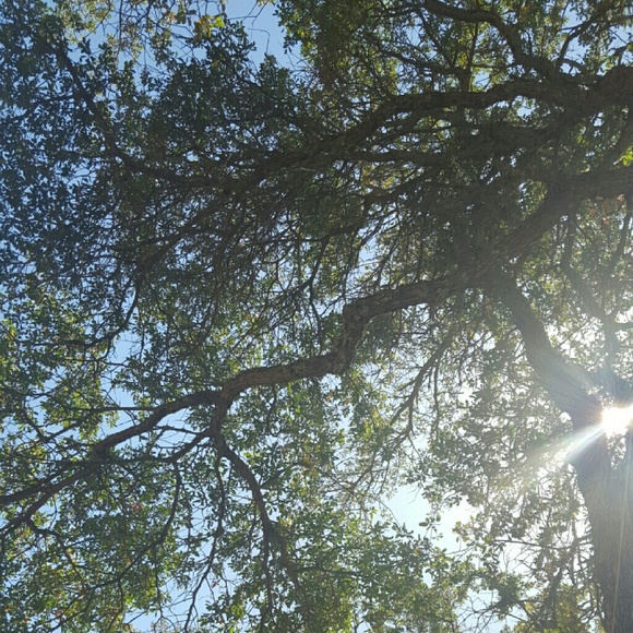 Meet your Posher, Liliana