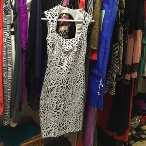 Animal print thick cache dress