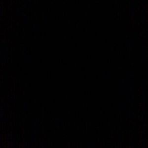 Meet your Posher, Meow