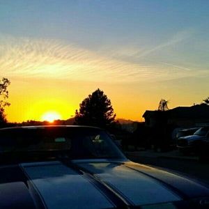 Meet your Posher, Joseph