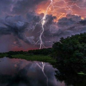 Meet your Posher, Tracey