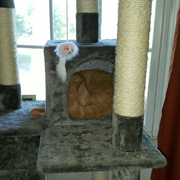 Meet your Posher, Colleen - Picture 1 of 1