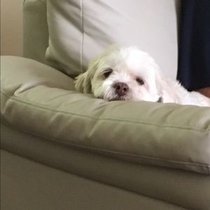 Meet your Posher, Monica