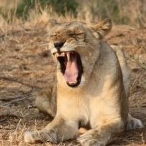 Meet your Posher, Kristina