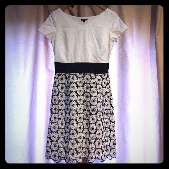 Unworn Tocca white and brown dress in size 4