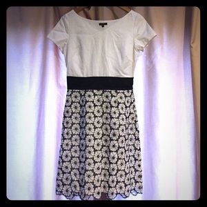 Unworn Tocca white and brown dress in size 4